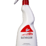 DetBathroomSc2