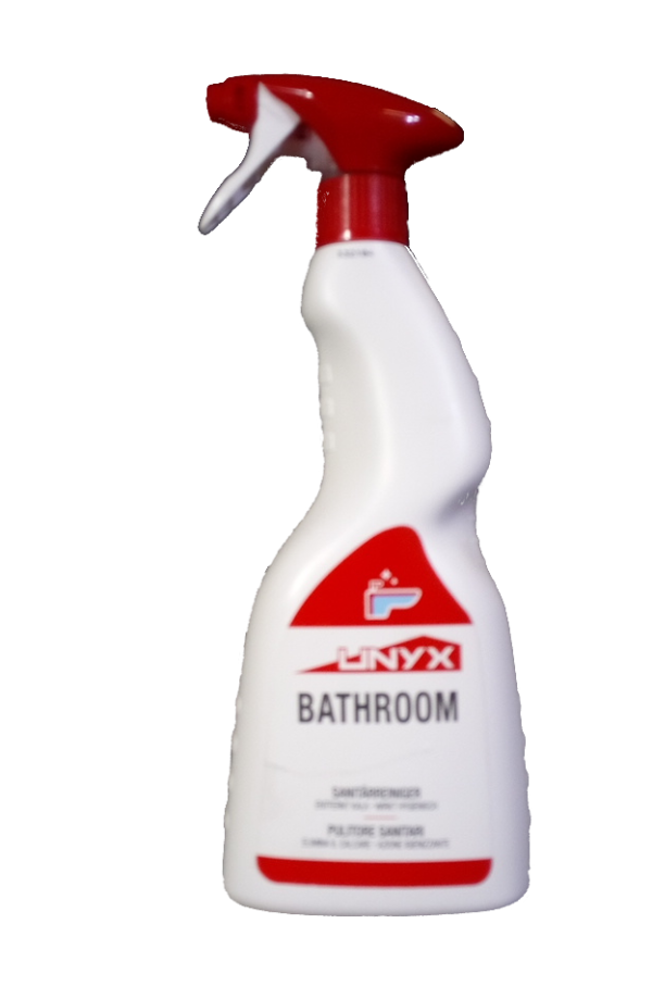 DetBathroomSc2