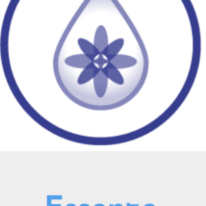 Essenza